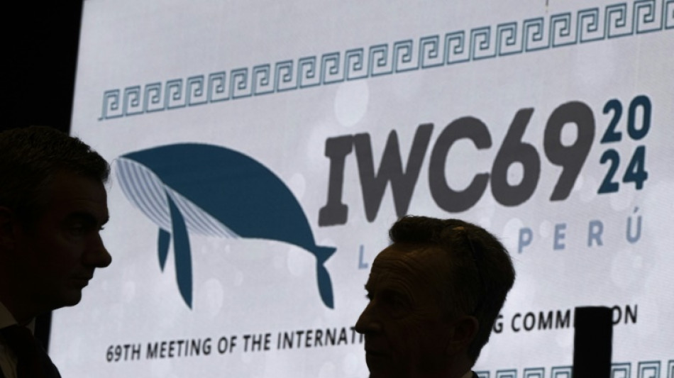 Gute Nachricht f&uuml;r Meeress&auml;uger: Walfang-Moratorium bleibt bestehen