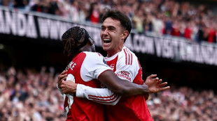 Foot: les recrues &agrave; la f&ecirc;te pour Arsenal et Newcastle