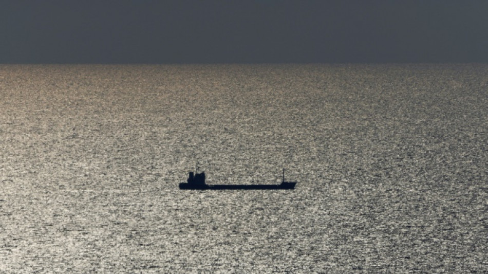 Llega a Turqu&iacute;a el primer carguero que zarpa de Ucrania desde el fin del acuerdo
