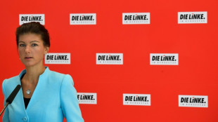 Brandenburger Linken-Landesvize verl&auml;sst Partei wegen Wagenknecht