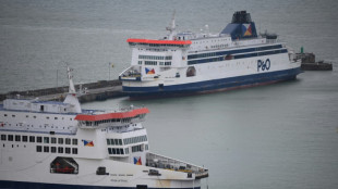 Trafic transmanche: situation compliqu&eacute;e au port de Douvres