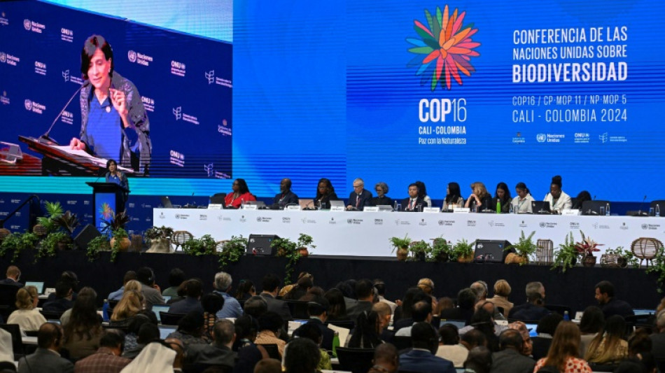 UN-Artenschutzkonferenz COP16 im kolumbianischen Cali er&ouml;ffnet