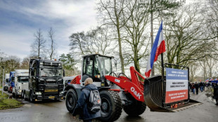 Tausende protestieren in Niederlanden gegen Pl&auml;ne zur Reduzierung von Agrar-Emissionen