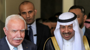 En pleno acercamiento con Israel, Arabia Saudita env&iacute;a  una delegaci&oacute;n a Cisjordania