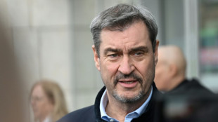 S&ouml;der lehnt Rufe aus der SPD nach Steuererh&ouml;hungen ab