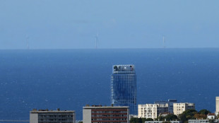 M&aacute;s del 30% de la electricidad en 2023 fue de origen renovable, seg&uacute;n un informe