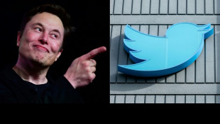 Twitter: Musk change le logo, la cryptomonnaie associ&eacute;e voit son cours d&eacute;coller