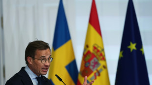 Suecia, dispuesta a acoger tropas de la OTAN antes de su adhesi&oacute;n