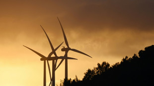 Chine: les &eacute;nergies propres, principal moteur de croissance du PIB en 2023, selon une &eacute;tude