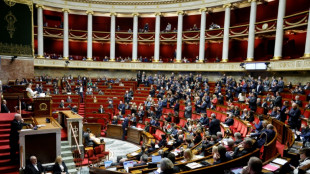 Retraites: l'heure de v&eacute;rit&eacute; pour la r&eacute;forme de Macron au Parlement