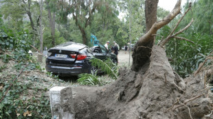 La Corse se r&eacute;veille apr&egrave;s une nuit plus calme que pr&eacute;vu