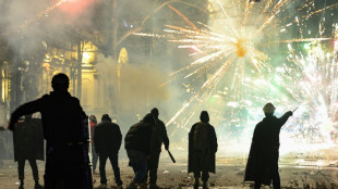 G&eacute;orgie: un chef de l'opposition battu et arr&ecirc;t&eacute; avant une 7e nuit de manifestations