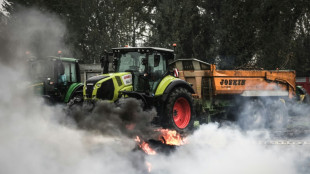 Agriculteurs: d&eacute;blocage annonc&eacute; du port de Bordeaux apr&egrave;s des annonces du gouvernement 