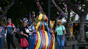 Les M&eacute;nines de Velazquez: du Prado aux rues de Caracas