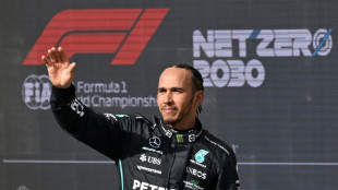 Hamilton salutes home crowd and Mercedes team&nbsp;&nbsp;