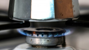 Mitglieder der Kommission Gas und W&auml;rme fordern Umsetzung ihrer Empfehlungen