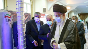 Ir&aacute;n redujo sus reservas totales de uranio enriquecido seg&uacute;n el OIEA