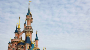 France charges Briton over staged Disneyland 'marriage' with child