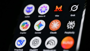 Sicherheitsbeh&ouml;rden: M&auml;chtige KI-Systeme versch&auml;rfen Bedrohungslage