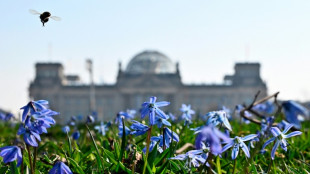 Bundestag ber&auml;t &uuml;ber erleichterte Zuwanderung f&uuml;r Fachkr&auml;fte