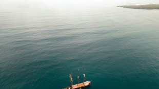 Sur les pas de Darwin: aux Galapagos, des scientifiques recr&eacute;ent l'exp&eacute;dition historique de 1835