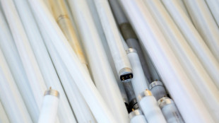 Les terres rares ne sont pas rares, il suffit de savoir les extraire, selon une scientifique