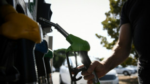 OPEC+ slated to increase oil output in bid to regain market share