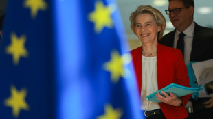 Trump rinvia i dazi all'Ue. Berlino, 'bene, ora soluzione'
