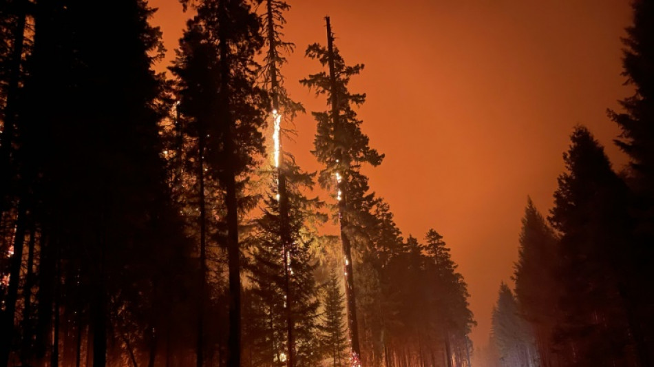 Un gran incendio forestal contin&uacute;a su avance en Oregon, EEUU