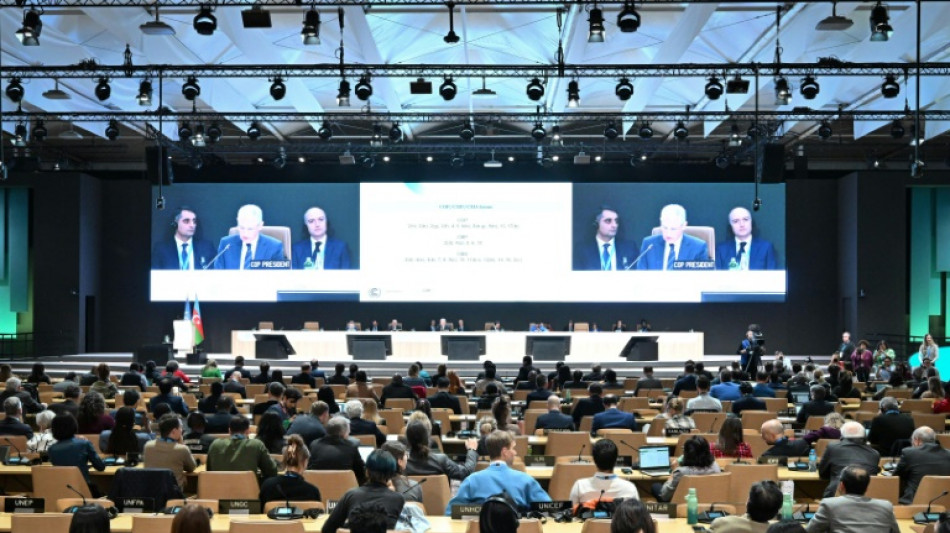 Los nubarrones crecen sobre el financiamiento de la lucha clim&aacute;tica para los pa&iacute;ses pobres