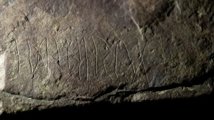 Norwegische Arch&auml;ologen entdecken &auml;ltesten Runenstein der Welt