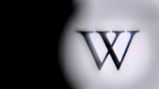 Pakist&aacute;n desbloquea en internet la enciclopedia Wikipedia