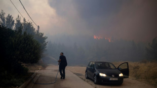 Dans la banlieue d'Ath&egrave;nes l'anxi&eacute;t&eacute; s'&eacute;paissit &agrave; l'instar de la fum&eacute;e des incendies