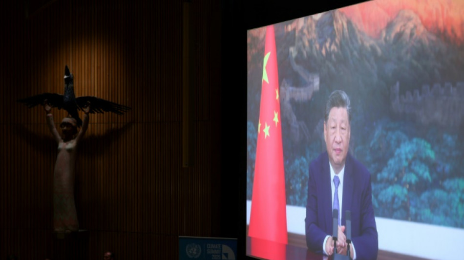 In first, China unveils specific emissions targets