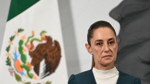 Mann wegen mutma&szlig;licher Bel&auml;stigung von Mexikos Pr&auml;sidentin Sheinbaum festgenommen