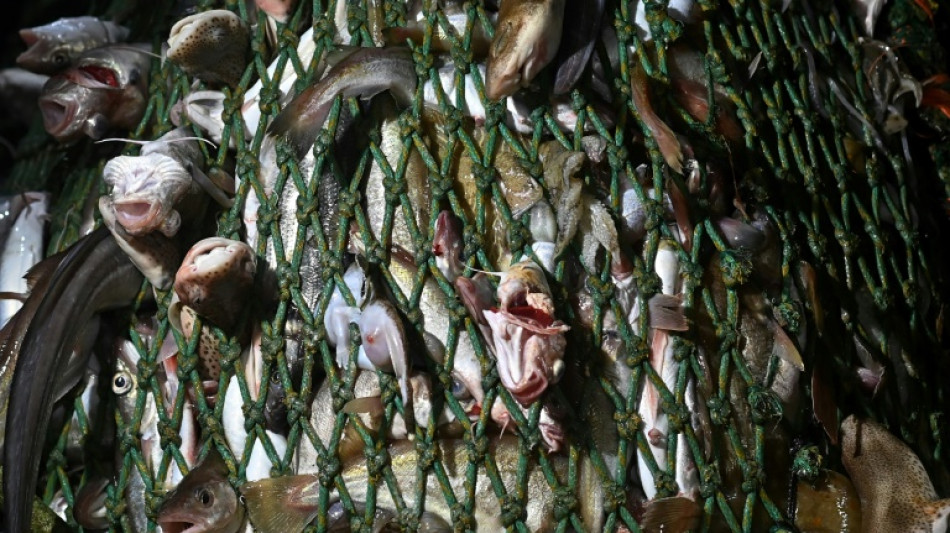 World coming up short on promised marine sanctuaries