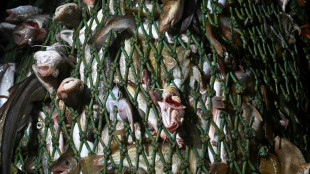 World coming up short on promised marine sanctuaries