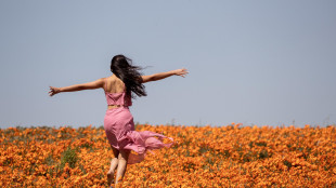 L'IA non capisce davvero cos'è un fiore per gli esseri umani