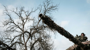 Bundesregierung: Ukraine bekommt "mindestens 100" Leopard-1-Panzer