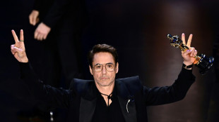 Robert Downey Jr. se consagra con el &Oacute;scar al mejor actor de reparto