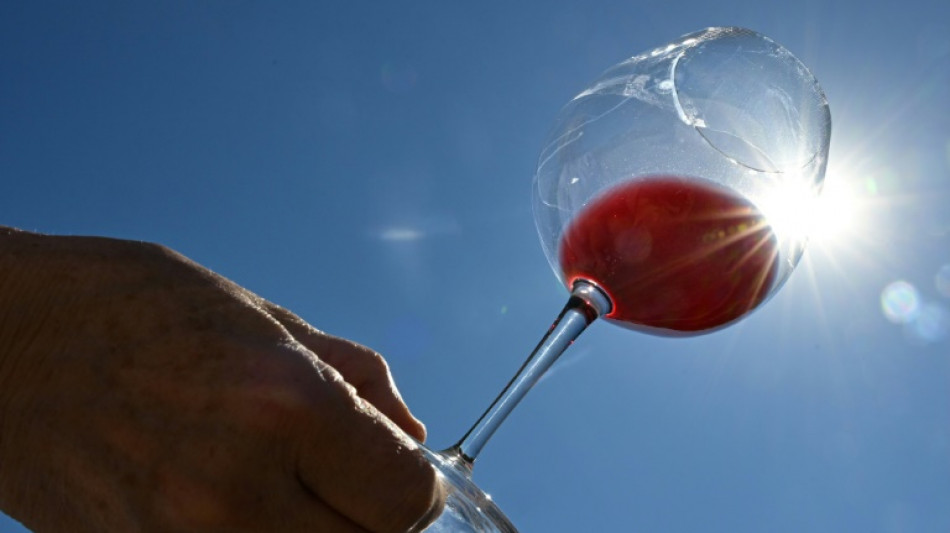 Face au r&eacute;chauffement climatique, le vignoble alsacien s'essaie au c&eacute;page Syrah