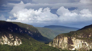 Biomass, cos&igrave; le foreste hanno addestrato il satellite