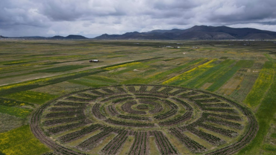 Waru Waru, una t&eacute;cnica agr&iacute;cola andina del pasado contra la crisis clim&aacute;tica 