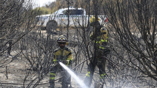 Incendio a 100 km a nord di Madrid, 13.000 ettari bruciati