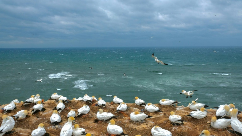 Man&ouml;vrierunf&auml;higer Frachter l&ouml;st Notfalleinsatz vor Helgoland aus