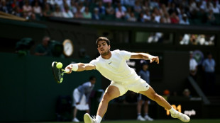 Alcaraz shines as Djokovic faces Wimbledon 'duel of veterans'