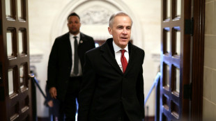 Carney modifica la meta para 2035 de los veh&iacute;culos el&eacute;ctricos vendidos en Canad&aacute;