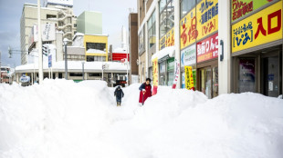 Japon: des chutes de neige exceptionnelles font 30 morts