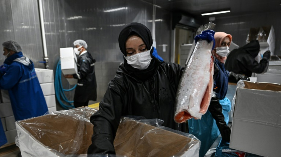 'Turkish salmon': the Black Sea's new rose-coloured gold