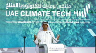 Emiratos atribuye contratos para un proyecto gas&iacute;stico antes de acoger la COP28